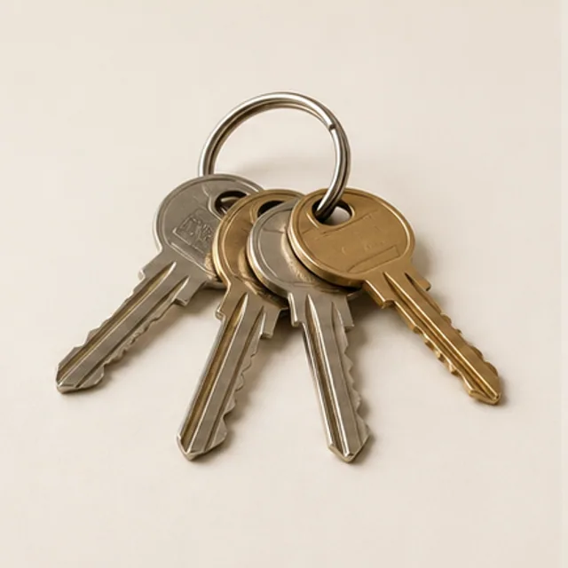 A ring of office keys